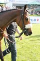 VGH_Renntag   092